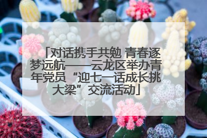 对话携手共勉 青春逐梦远航——云龙区举办青年党员“迎七一话成长挑大梁”交流活动