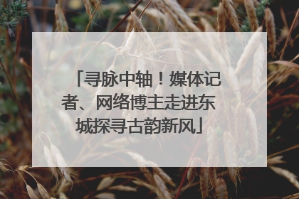 寻脉中轴！媒体记者、网络博主走进东城探寻古韵新风