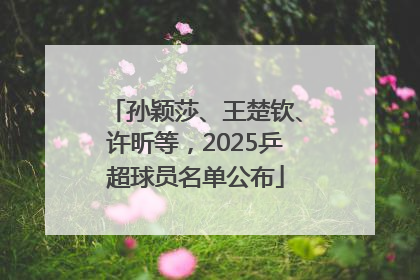 孙颖莎、王楚钦、许昕等，2025乒超球员名单公布