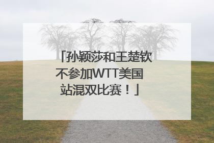 孙颖莎和王楚钦不参加WTT美国站混双比赛！