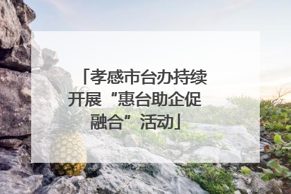 孝感市台办持续开展“惠台助企促融合”活动