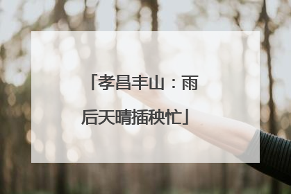 孝昌丰山：雨后天晴插秧忙