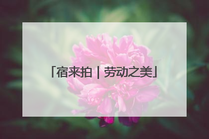 宿来拍｜劳动之美