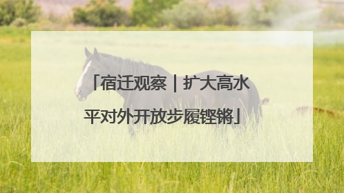 宿迁观察｜扩大高水平对外开放步履铿锵