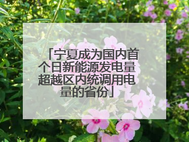 宁夏成为国内首个日新能源发电量超越区内统调用电量的省份