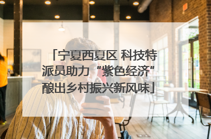 宁夏西夏区 科技特派员助力“紫色经济”酿出乡村振兴新风味