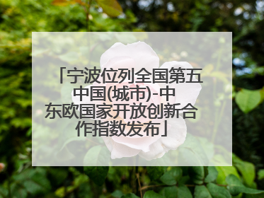 宁波位列全国第五 中国(城市)-中东欧国家开放创新合作指数发布