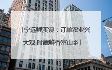 宁远鲤溪镇：订单农业兴大观 时蔬鲜香富山乡
