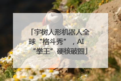 宇树人形机器人全球“格斗秀”，AI“拳王”硬核破圈