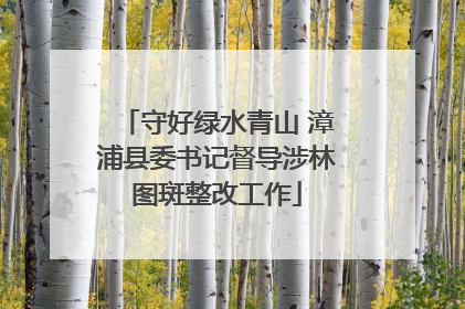 守好绿水青山 漳浦县委书记督导涉林图斑整改工作