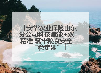 安华农业保险山东分公司科技赋能+双精准 筑牢粮食安全“稳定器”