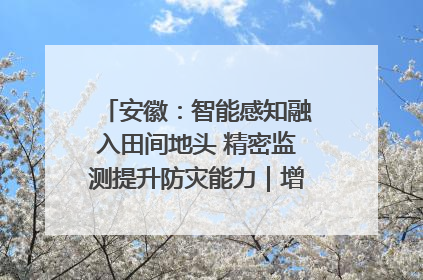 安徽：智能感知融入田间地头 精密监测提升防灾能力｜增发国债气象项目落地见效系列报道