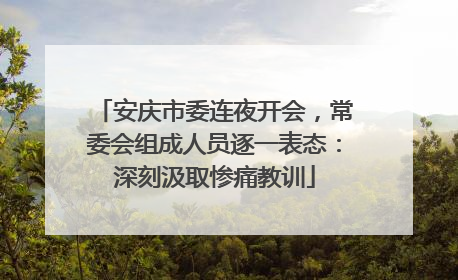 安庆市委连夜开会，常委会组成人员逐一表态：深刻汲取惨痛教训