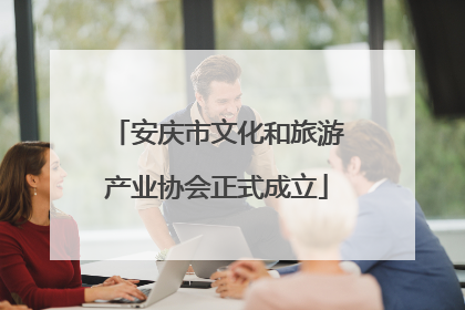 安庆市文化和旅游产业协会正式成立