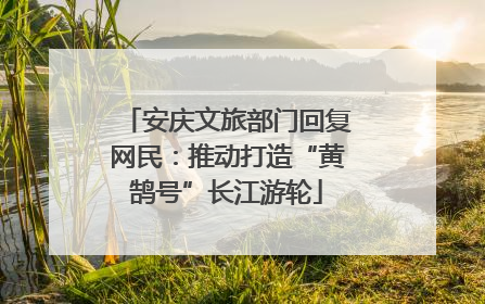 安庆文旅部门回复网民：推动打造“黄鹄号”长江游轮