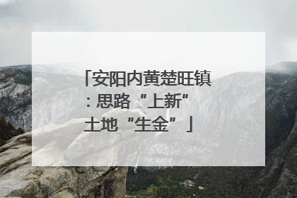 安阳内黄楚旺镇：思路“上新” 土地“生金”