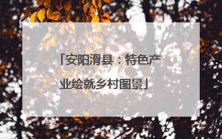 安阳滑县：特色产业绘就乡村图景