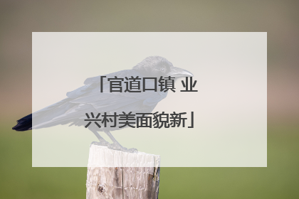 官道口镇 业兴村美面貌新