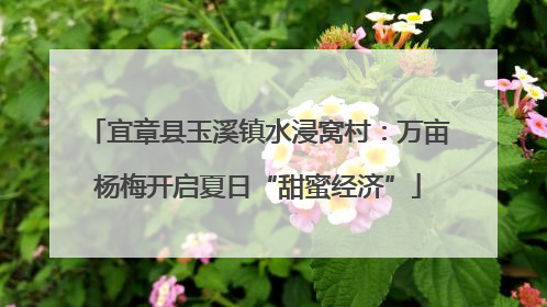 宜章县玉溪镇水浸窝村：万亩杨梅开启夏日“甜蜜经济”