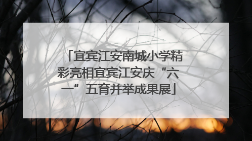 宜宾江安南城小学精彩亮相宜宾江安庆“六一”五育并举成果展