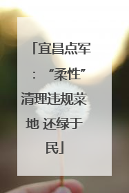 宜昌点军：“柔性”清理违规菜地 还绿于民