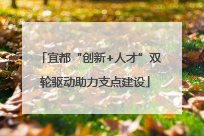 宜都“创新+人才”双轮驱动助力支点建设