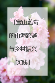宝山蓝莓的山海跨越与乡村振兴实践