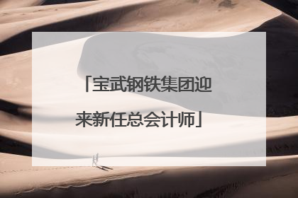 宝武钢铁集团迎来新任总会计师