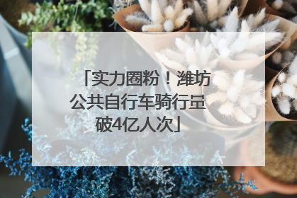 实力圈粉！潍坊公共自行车骑行量破4亿人次