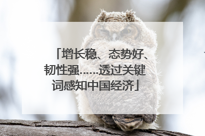 增长稳、态势好、韧性强……透过关键词感知中国经济
