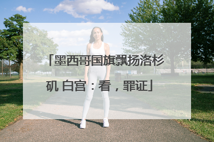 墨西哥国旗飘扬洛杉矶 白宫：看，罪证