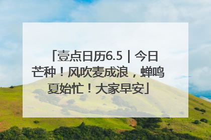 壹点日历6.5｜今日芒种！风吹麦成浪，蝉鸣夏始忙！大家早安