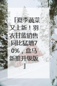 夏季蔬菜又上新！羽衣甘蓝销售同比猛增70%，盒马新推升级版