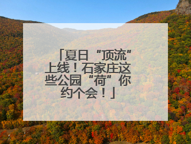 夏日“顶流”上线！石家庄这些公园“荷”你约个会！