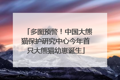 多图预警！中国大熊猫保护研究中心今年首只大熊猫幼崽诞生