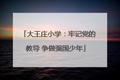 大王庄小学：牢记党的教导 争做强国少年