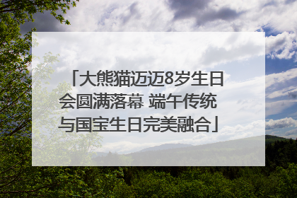 大熊猫迈迈8岁生日会圆满落幕 端午传统与国宝生日完美融合