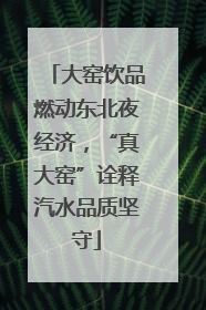 大窑饮品燃动东北夜经济，“真大窑”诠释汽水品质坚守