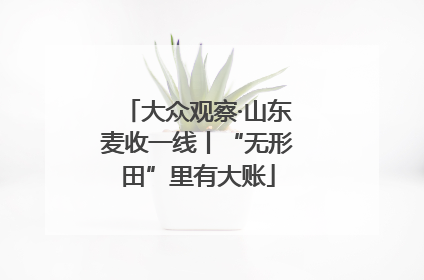 大众观察·山东麦收一线丨“无形田”里有大账