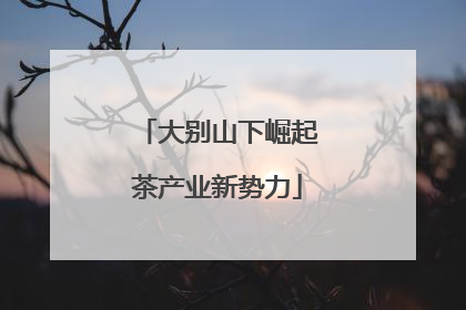 大别山下崛起茶产业新势力