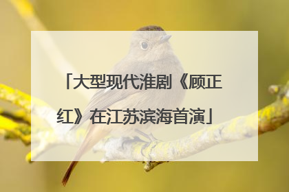 大型现代淮剧《顾正红》在江苏滨海首演