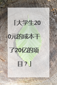 大学生200元的成本干了20亿的项目？