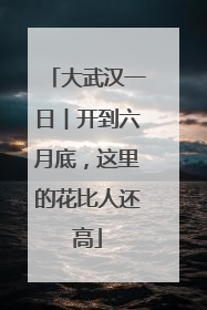 大武汉一日︱开到六月底，这里的花比人还高
