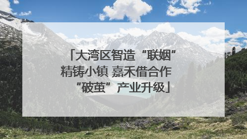 大湾区智造“联姻”精铸小镇 嘉禾借合作“破茧”产业升级