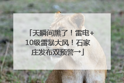天瞬间黑了！雷电+10级雷暴大风！石家庄发布双预警→