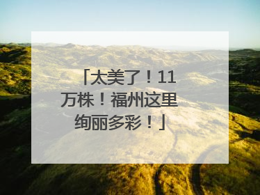 太美了！11万株！福州这里绚丽多彩！