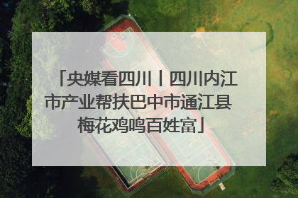 央媒看四川丨四川内江市产业帮扶巴中市通江县 梅花鸡鸣百姓富