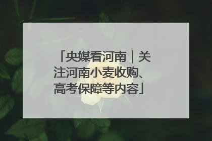 央媒看河南｜关注河南小麦收购、高考保障等内容