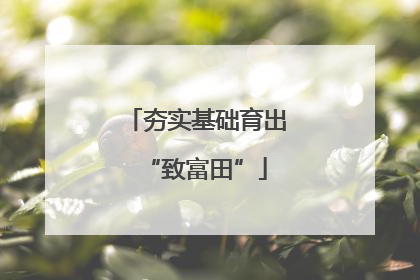 夯实基础育出“致富田”