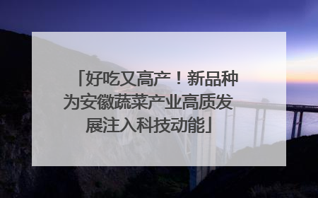好吃又高产！新品种为安徽蔬菜产业高质发展注入科技动能